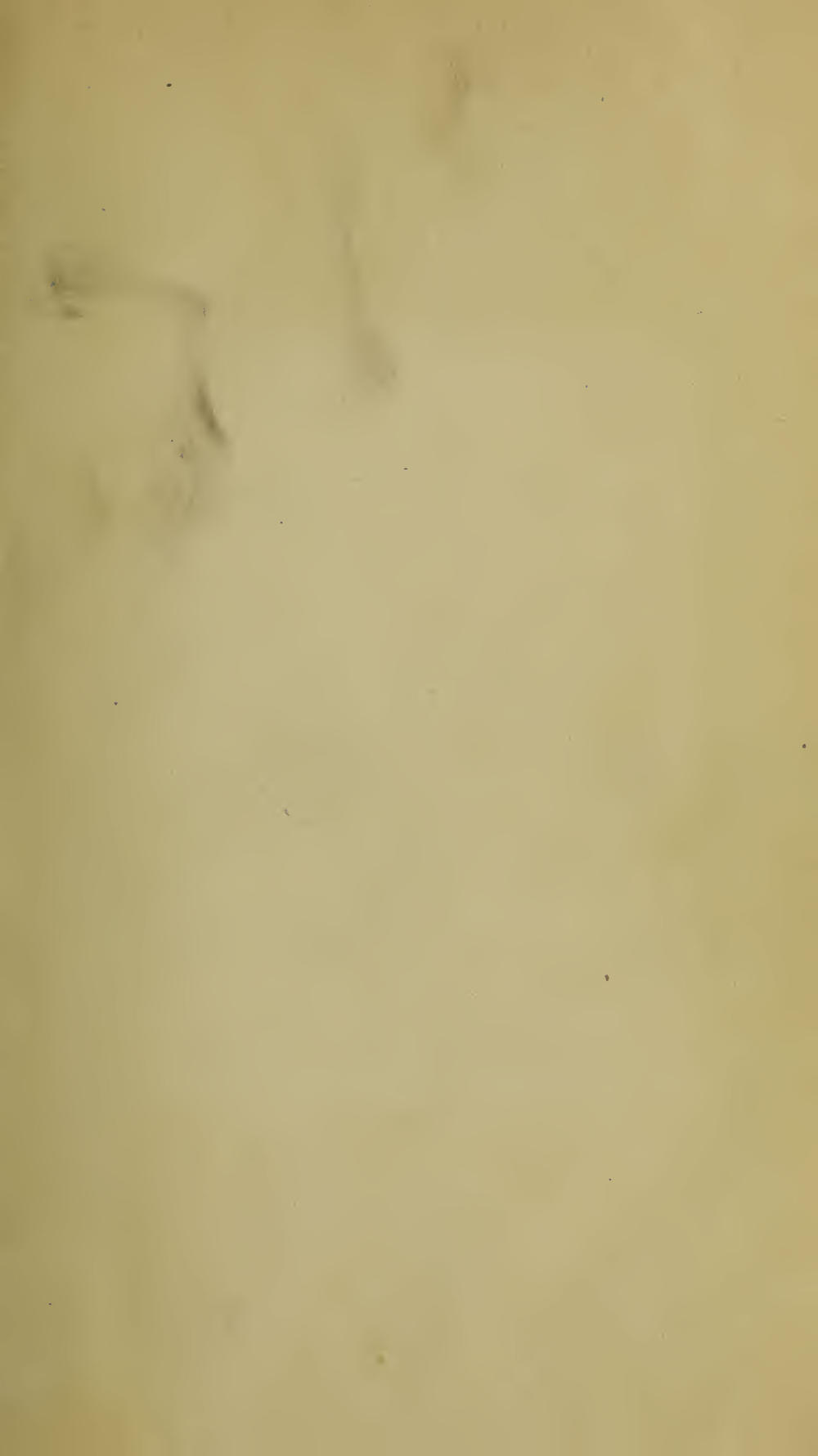 Image of page -8